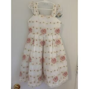 Janie And Jack Dress Special Occasion Tulle Roses Embroidered Gold Size 6